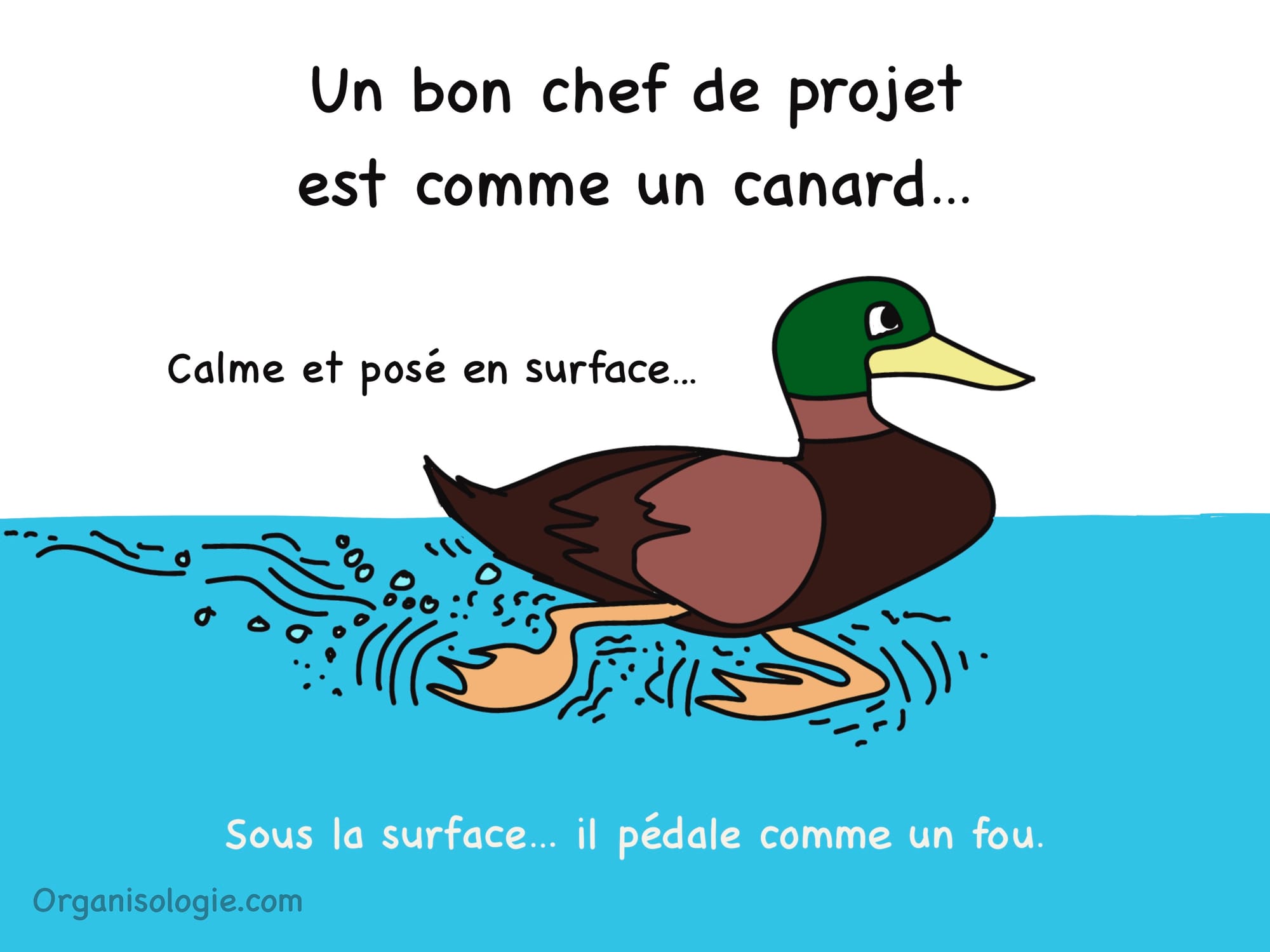 Être un canard - meme