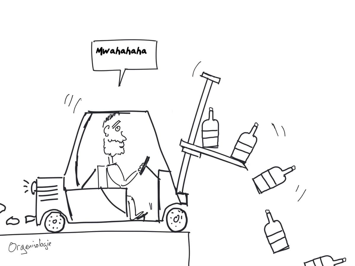 6 mois sans alcool le bilan Organisologie
