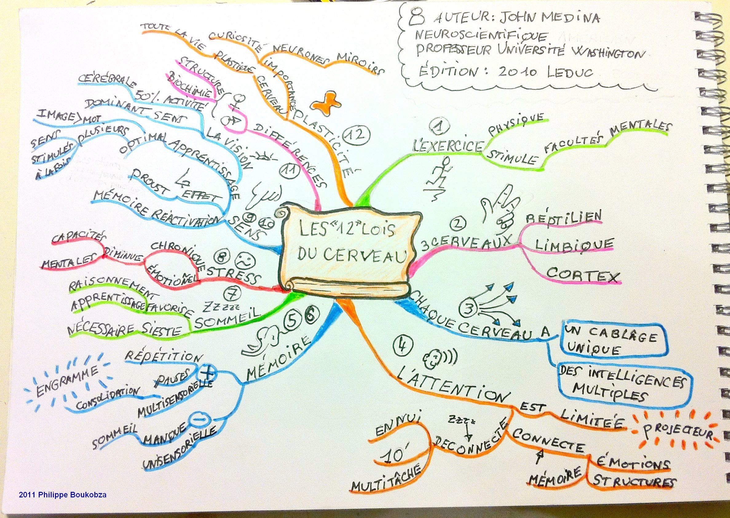 Carte heuristique les 12 lois du cerveau