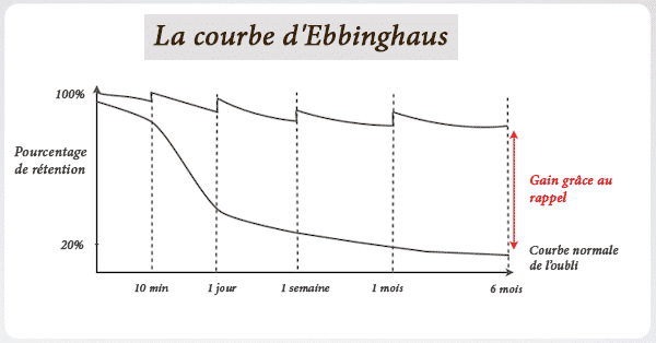 Courbe oubli