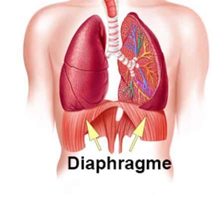diaphragme et Respiration