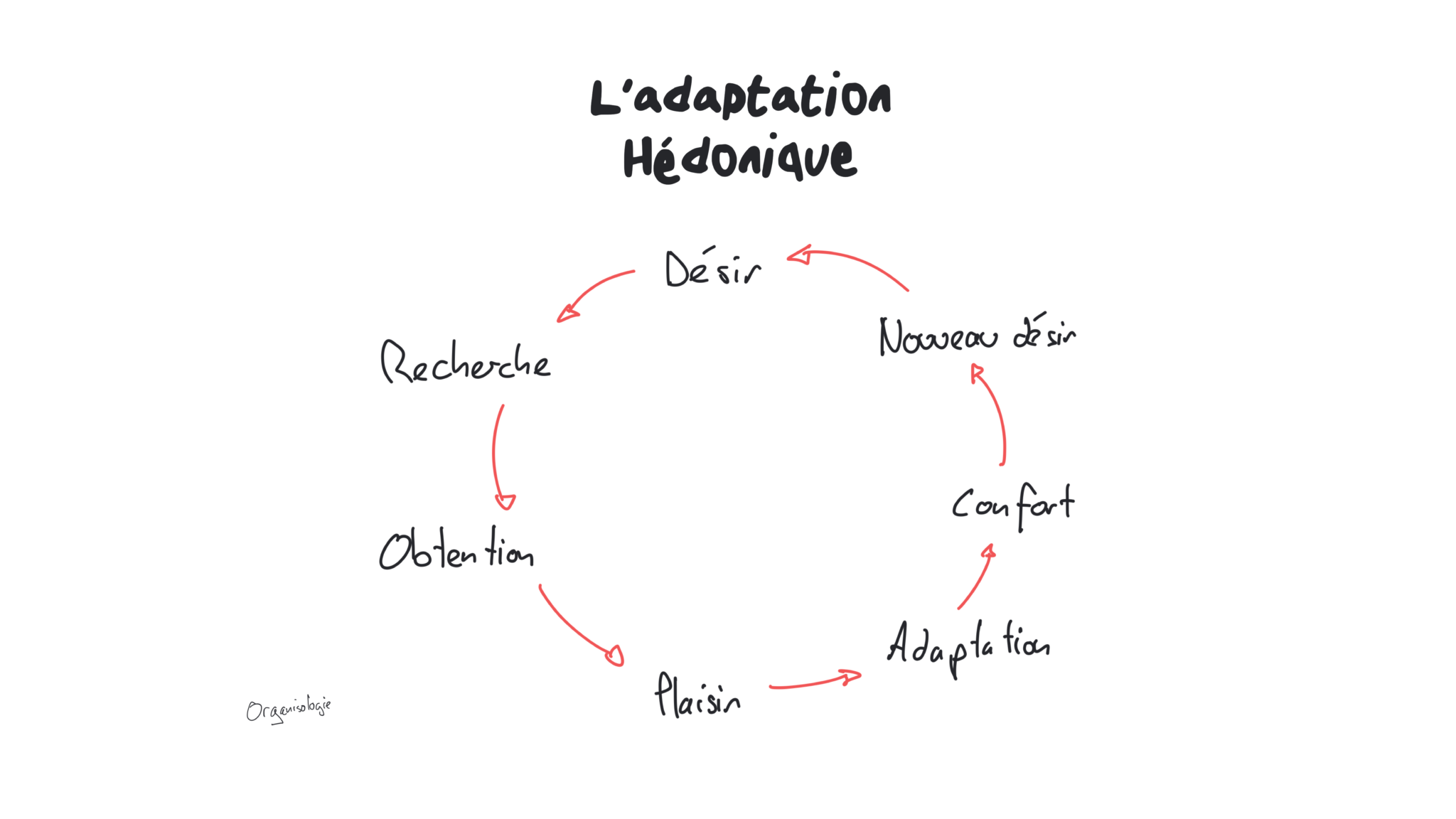 adaptation hédonique