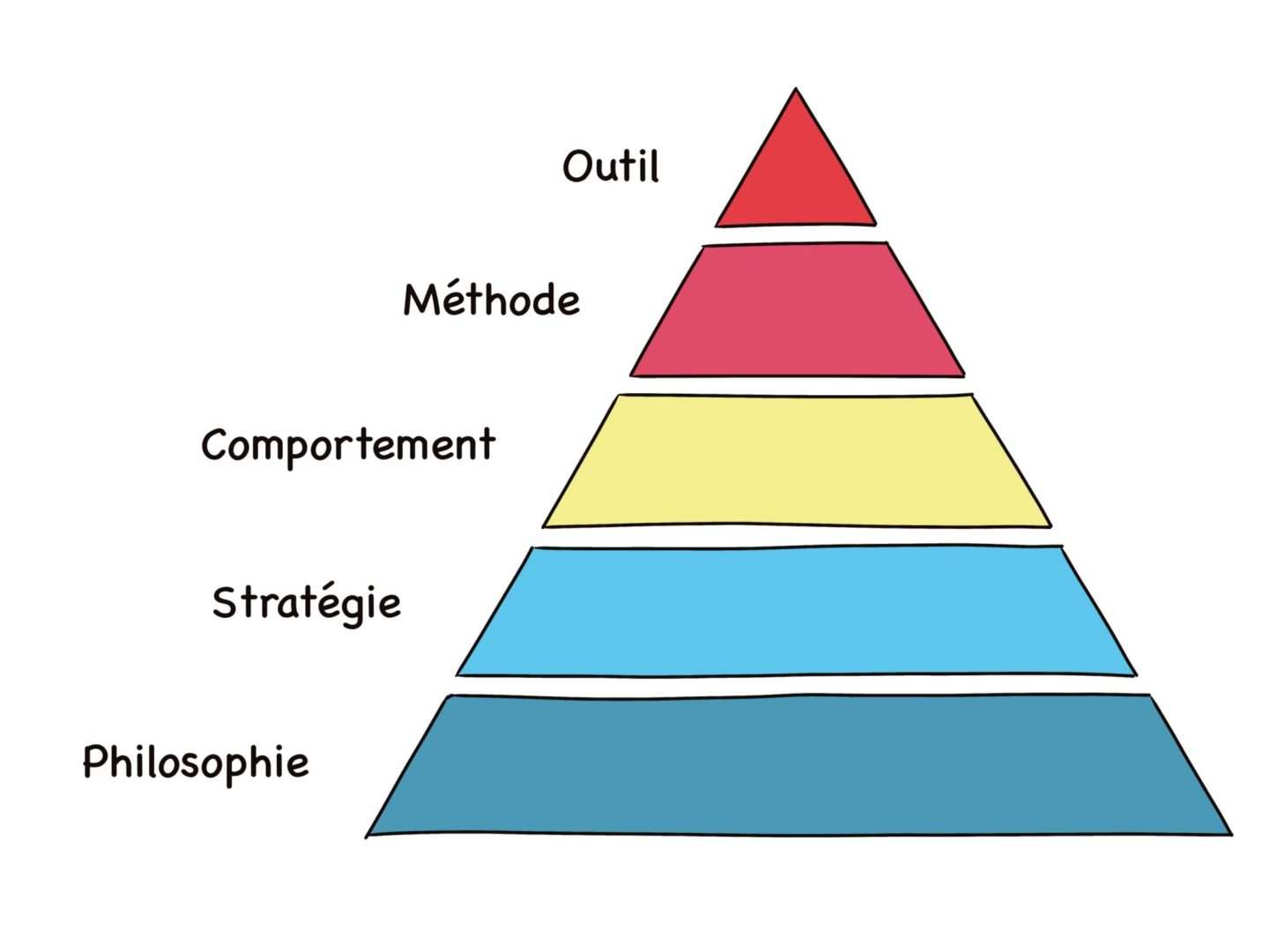 pyramide de l'organisologie